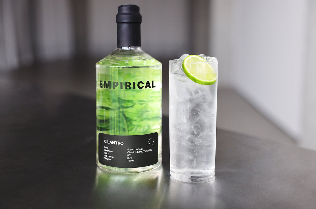 Cilantro Soda – Simplicity at Its Finest
