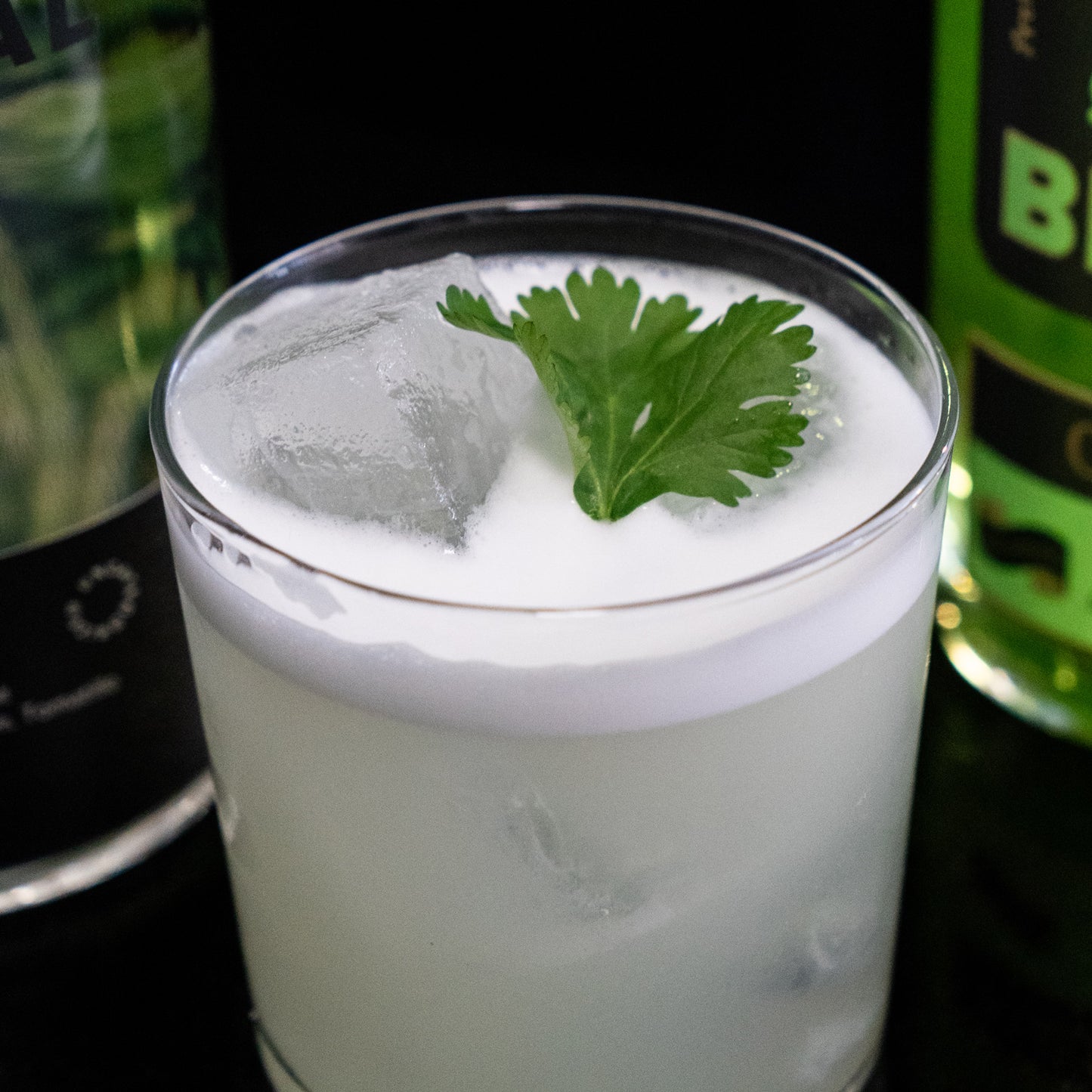 Cilantro Brutto highball with cilantro leaf garnish, flanked by both bottles