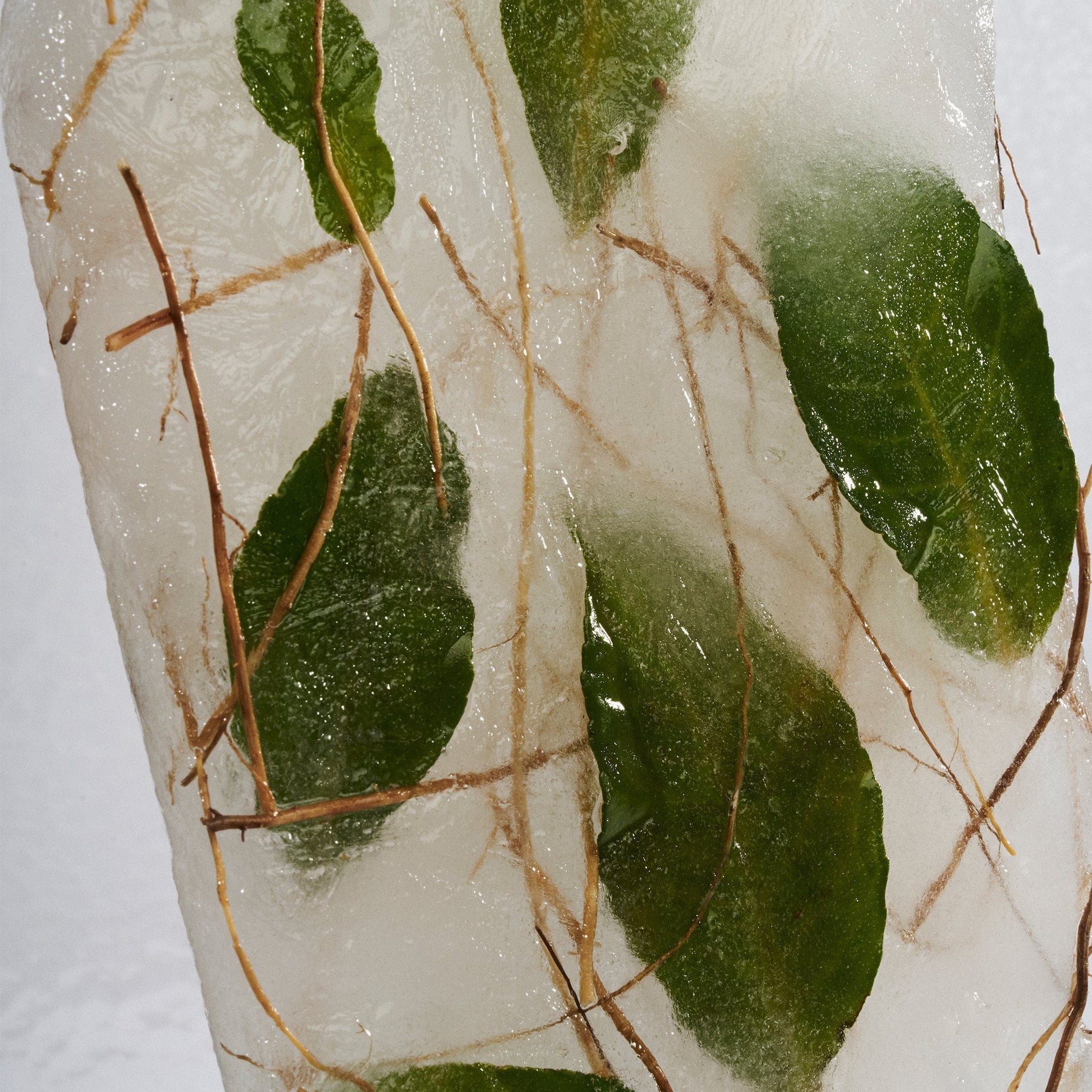 Frozen ice block embedded with fig leaves and twigs — Symphony 6 botanicals