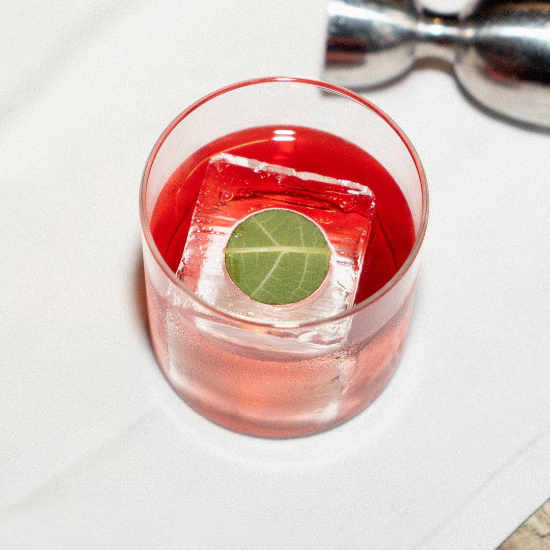 Symphony 6 Negroni in a rocks glass with a leaf-stamped ice cube