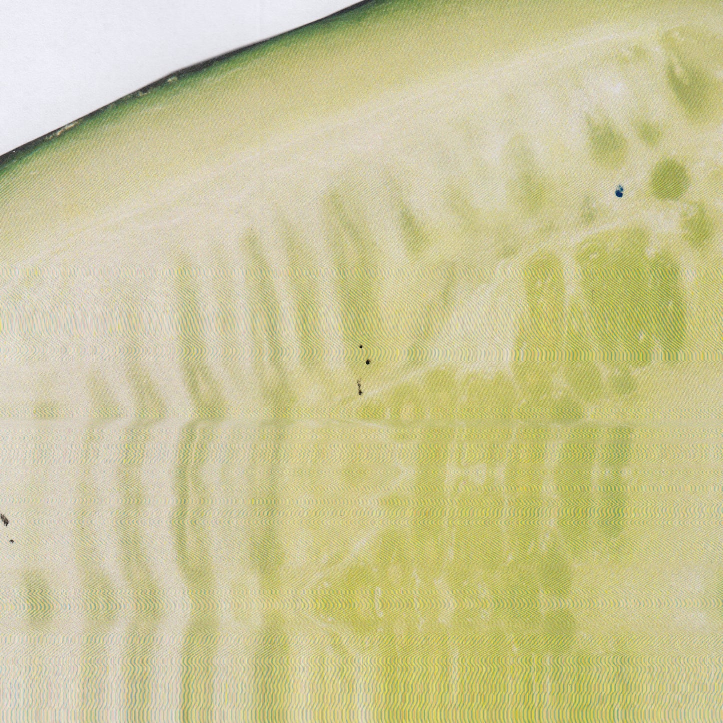 Abstract green ripple, evoking the apple-cane character of Soka