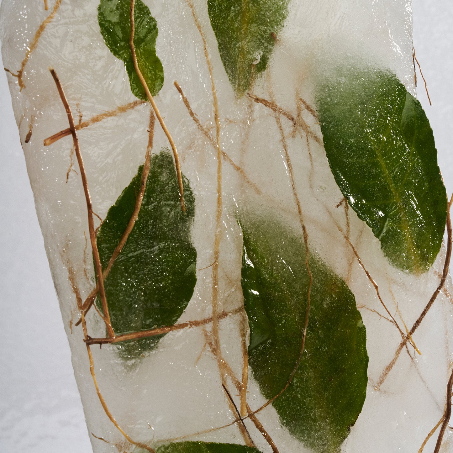 Frozen ice block embedded with fig leaves and twigs — Symphony 6 botanicals