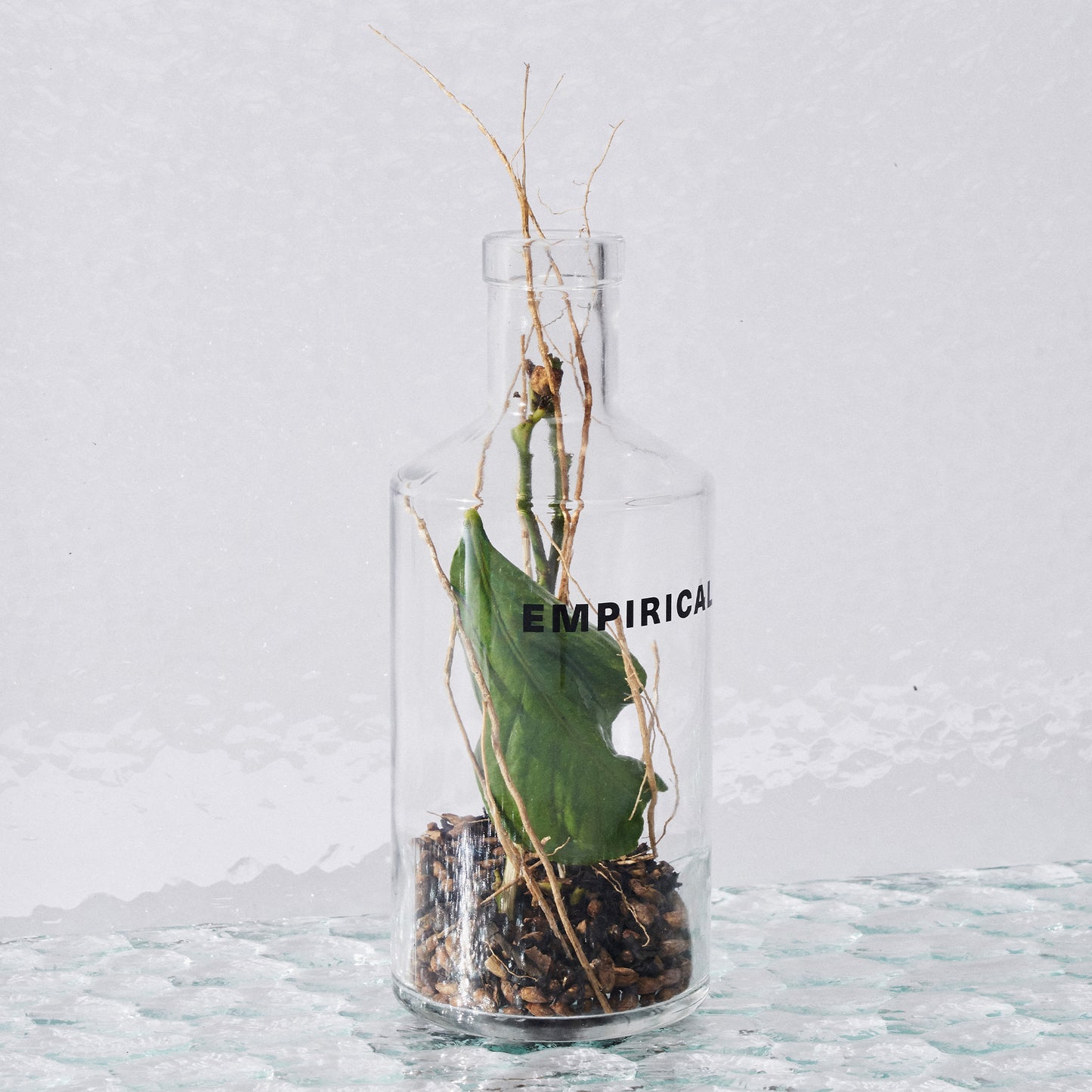Empirical bottle holding fig leaf and coffee beans — Symphony 6 botanicals display