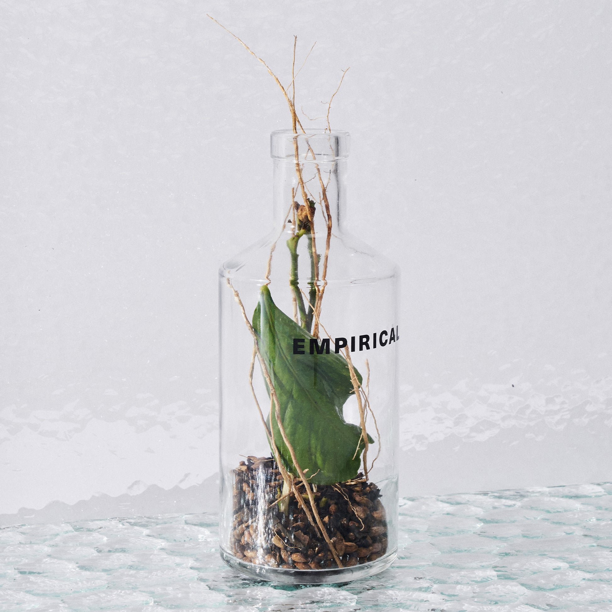 Empirical bottle holding fig leaf and coffee beans — Symphony 6 botanicals display