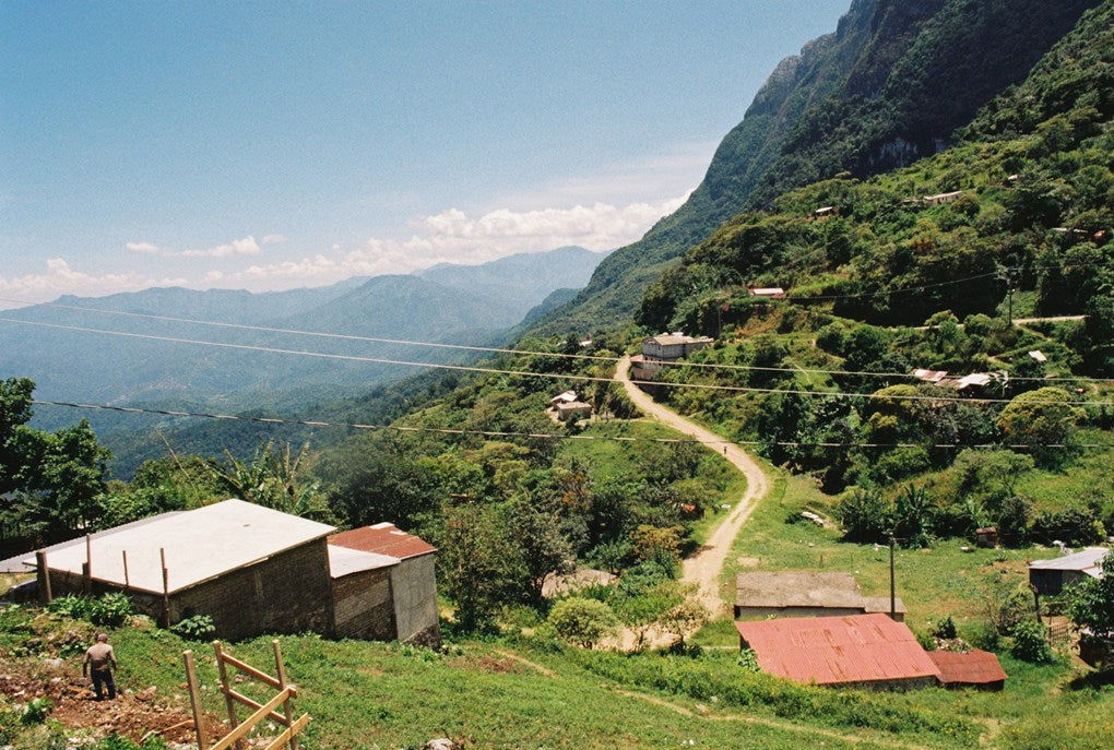 Sierra Mixe village in the Oaxacan mountains, Ayuuk sourcing region